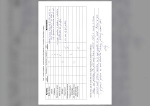 Evaluation form scan #162