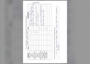 Evaluation form scan #163