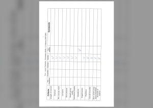 Evaluation form scan #168